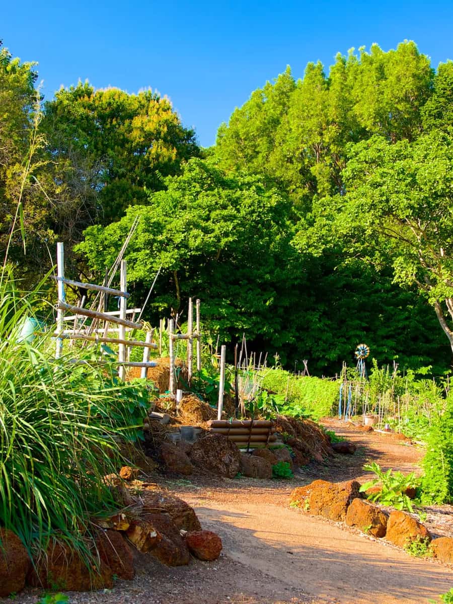 Darwin Botanic Gardens, Darwin, NT Darwin Botanic Gardens, Darwin, NT