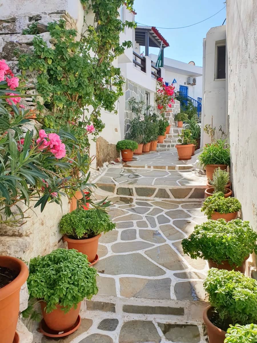 Dryopida, Kythnos Dryopida, Kythnos