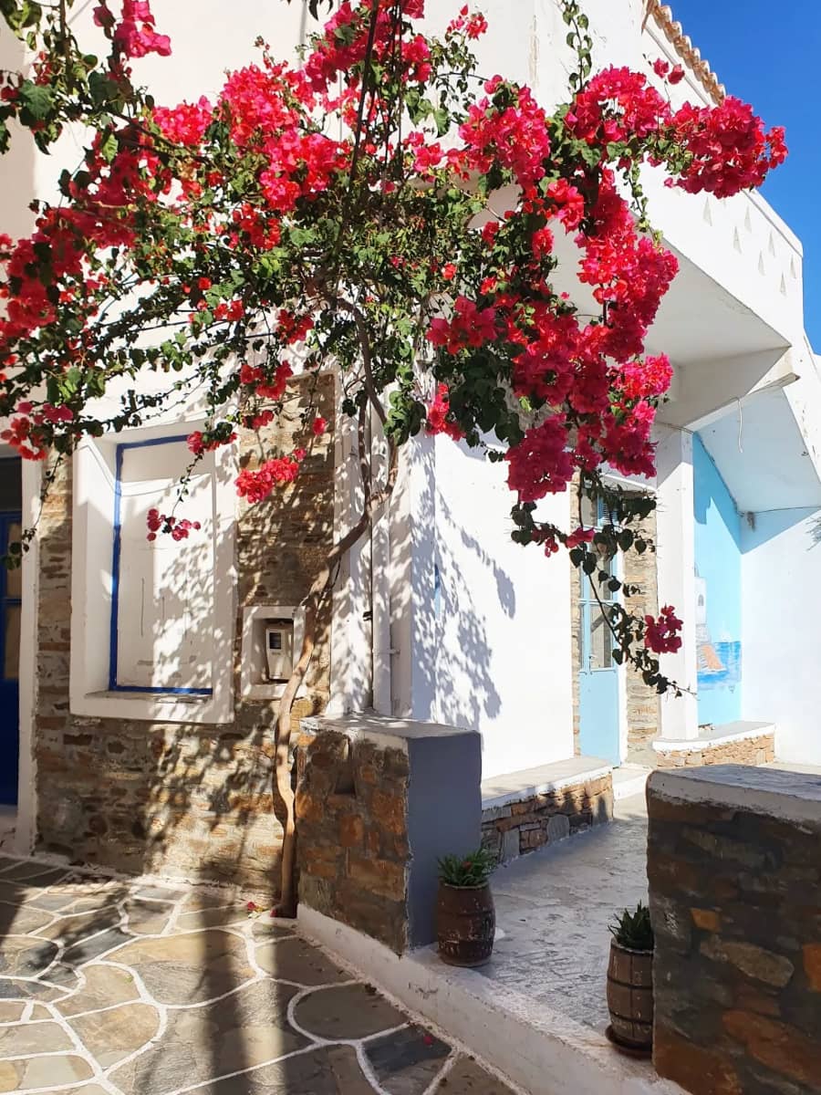 Dryopida, Kythnos Dryopida, Kythnos