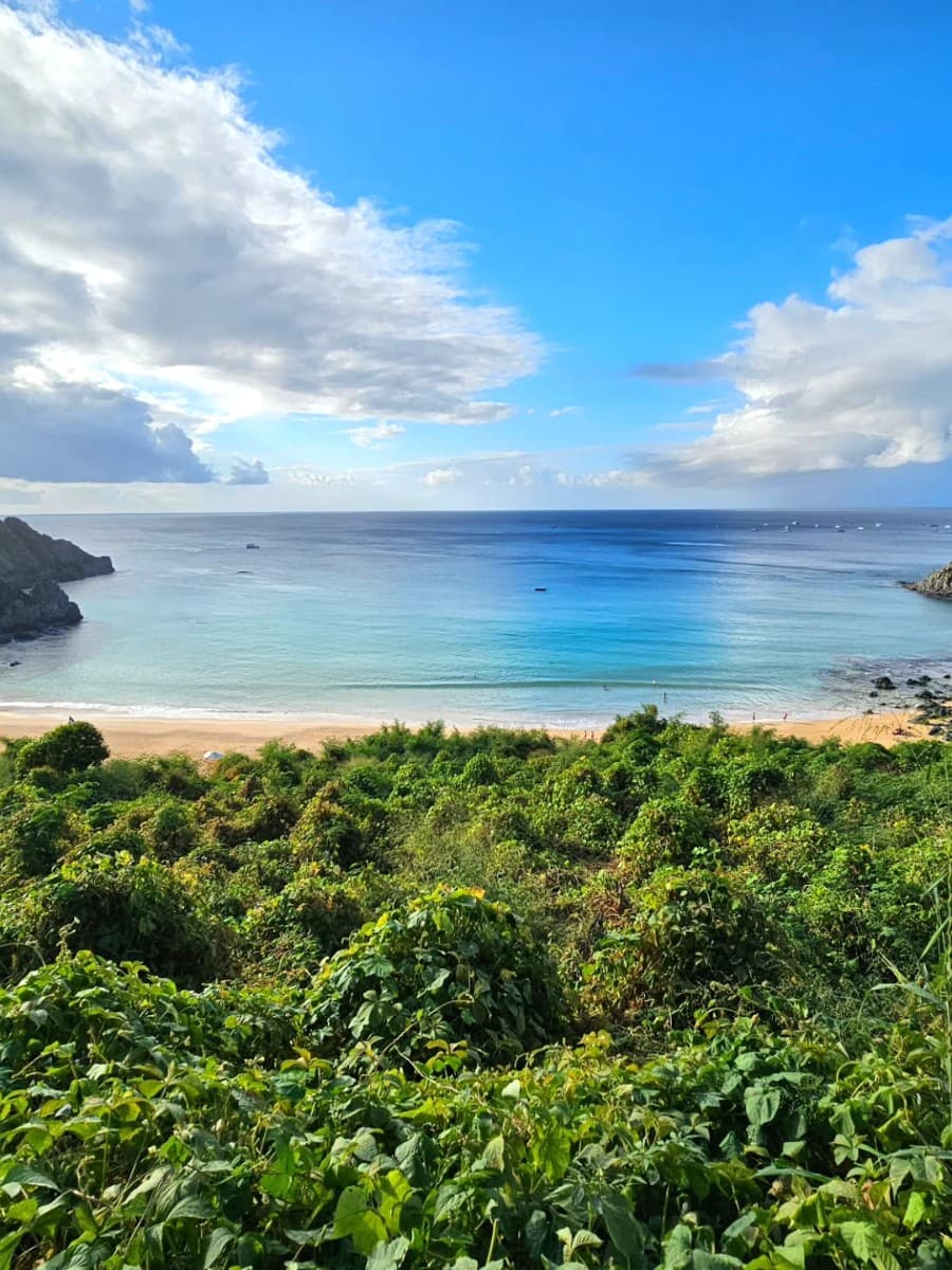 Floresta Nova, Fernando de Noronha Floresta Nova, Fernando de Noronha