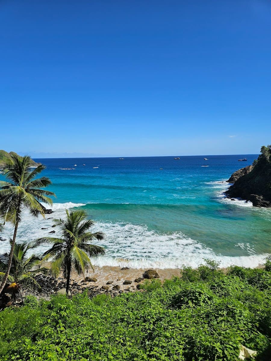 Floresta Nova, Fernando de Noronha Floresta Nova, Fernando de Noronha