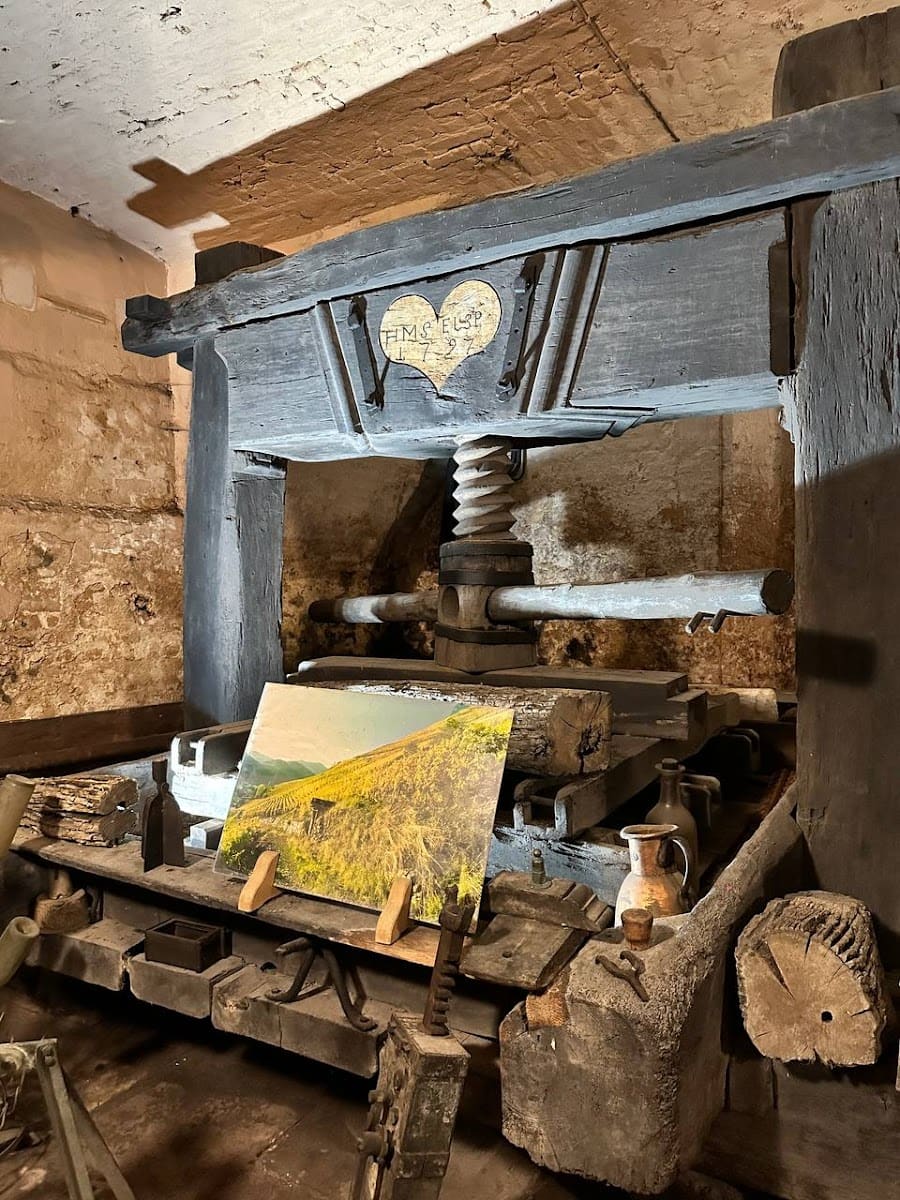 Historic Cellar of the Hospices, Alsace Historic Cellar of the Hospices, Alsace