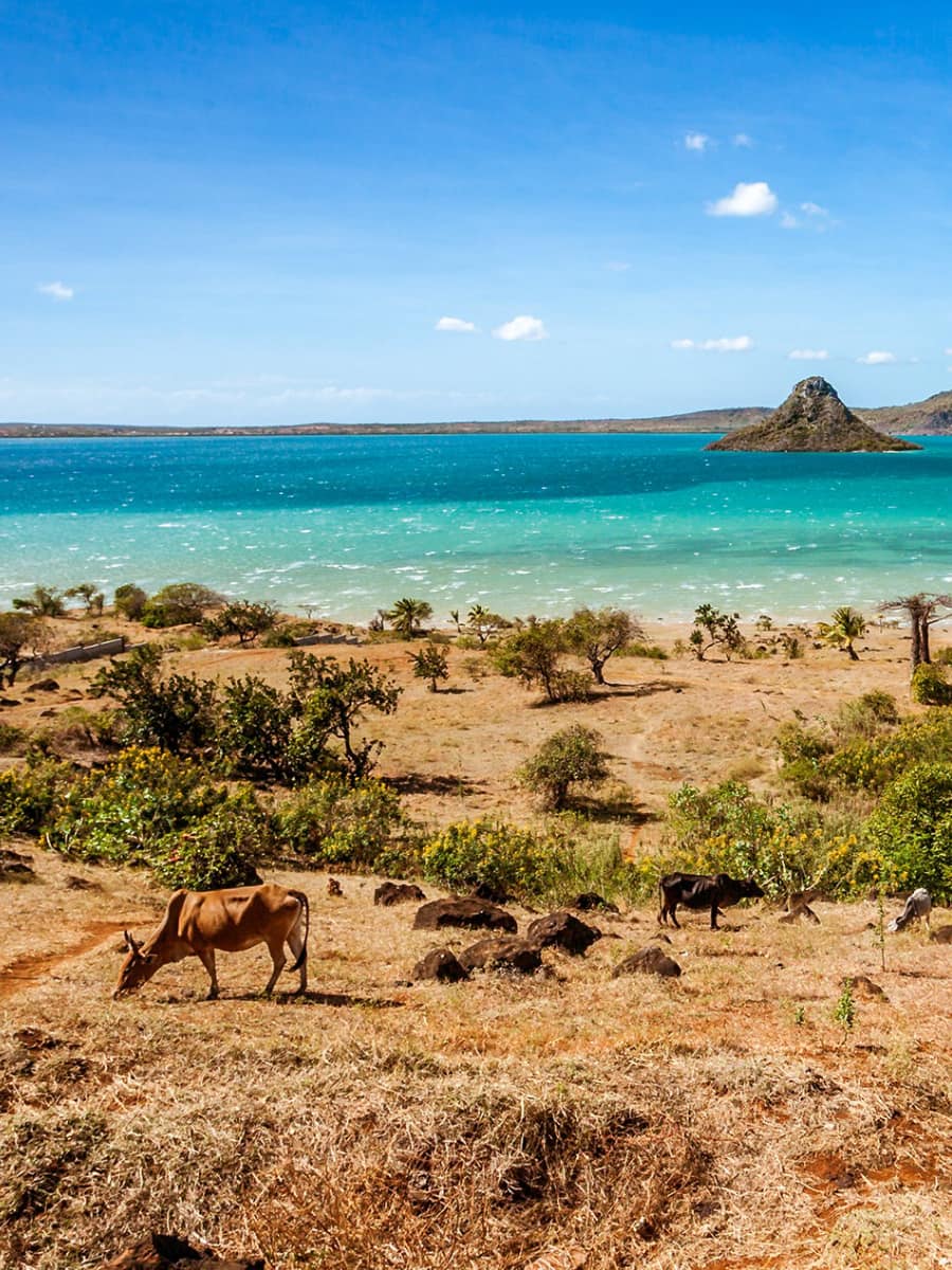 Madagascar Madagascar