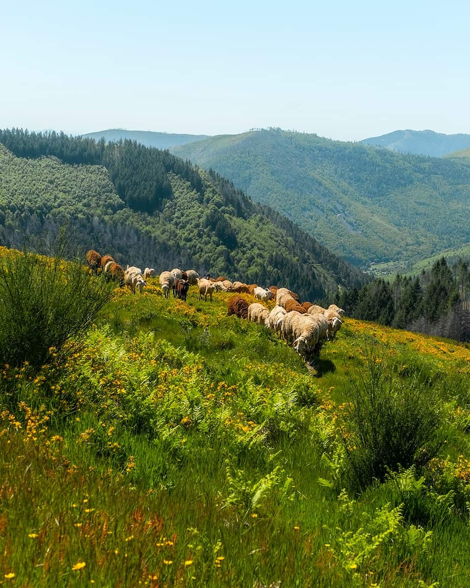 Manteigas, Serra da Estrela Manteigas, Serra da Estrela