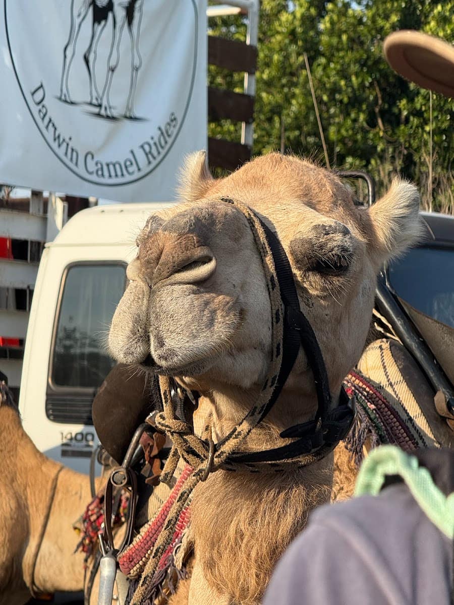 Mindil Beach, Darwin, NT Mindil Beach, Darwin, NT