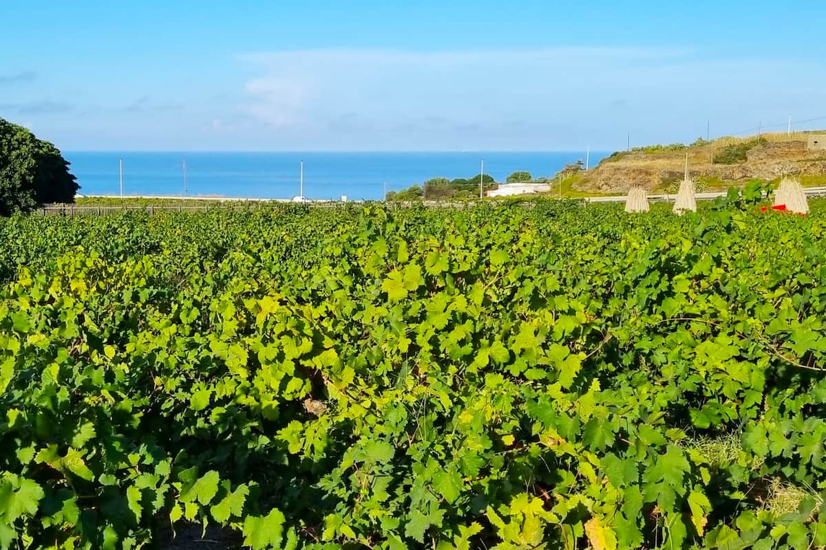 Mursia & Cossyra, Pantelleria Mursia & Cossyra, Pantelleria