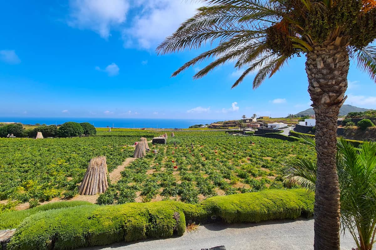 Mursia & Cossyra, Pantelleria Mursia & Cossyra, Pantelleria