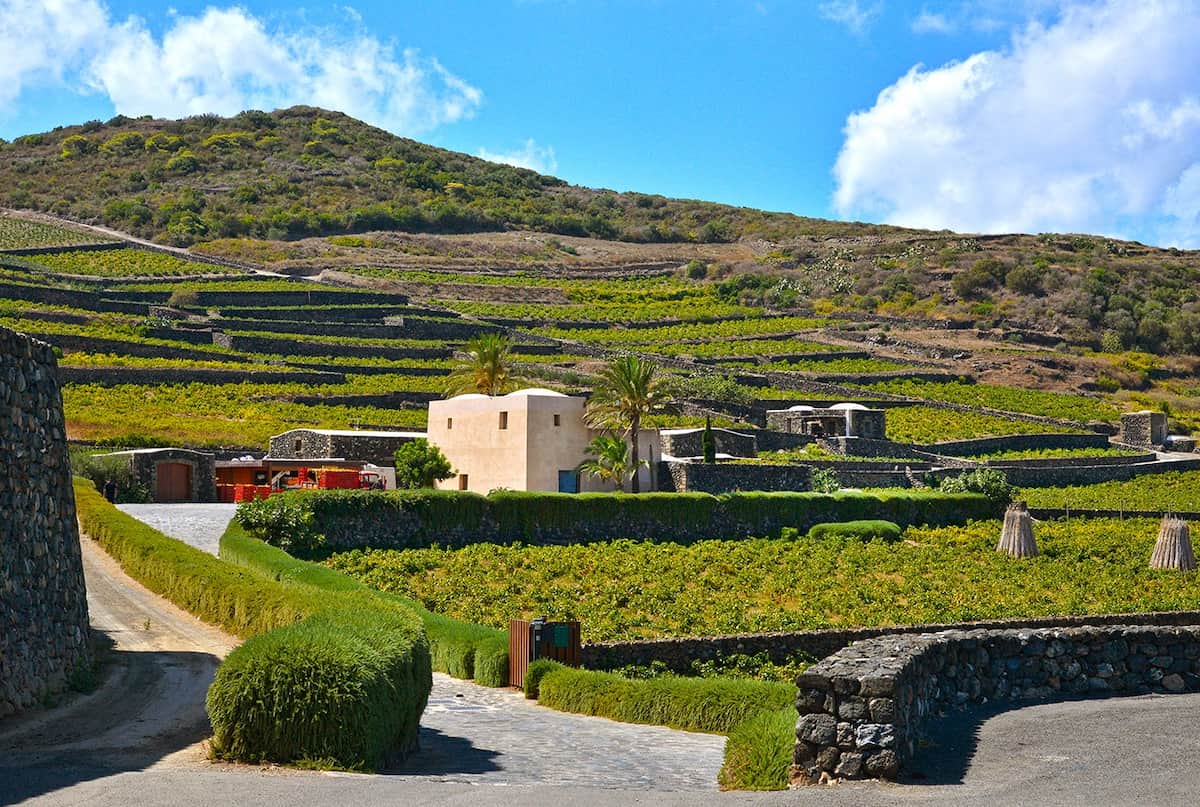 Mursia & Cossyra, Pantelleria Mursia & Cossyra, Pantelleria