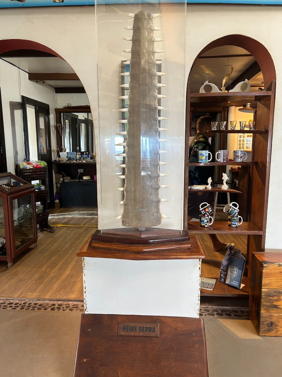 Museu do Tubarão, Fernando de Noronha Museu do Tubarão, Fernando de Noronha