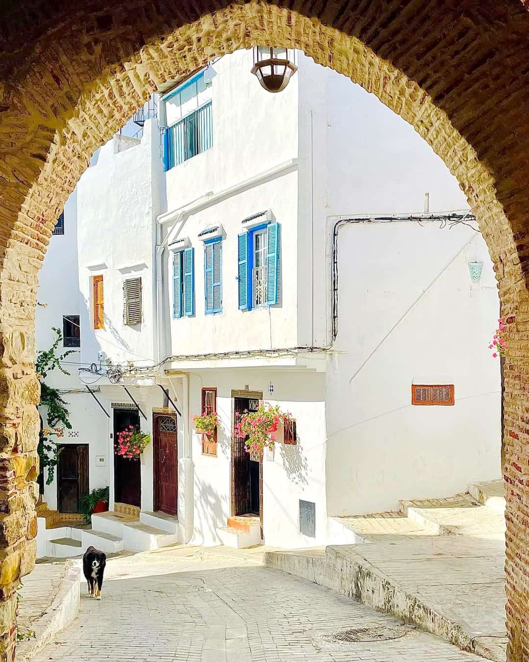 Old Medina, Tangier Old Medina, Tangier