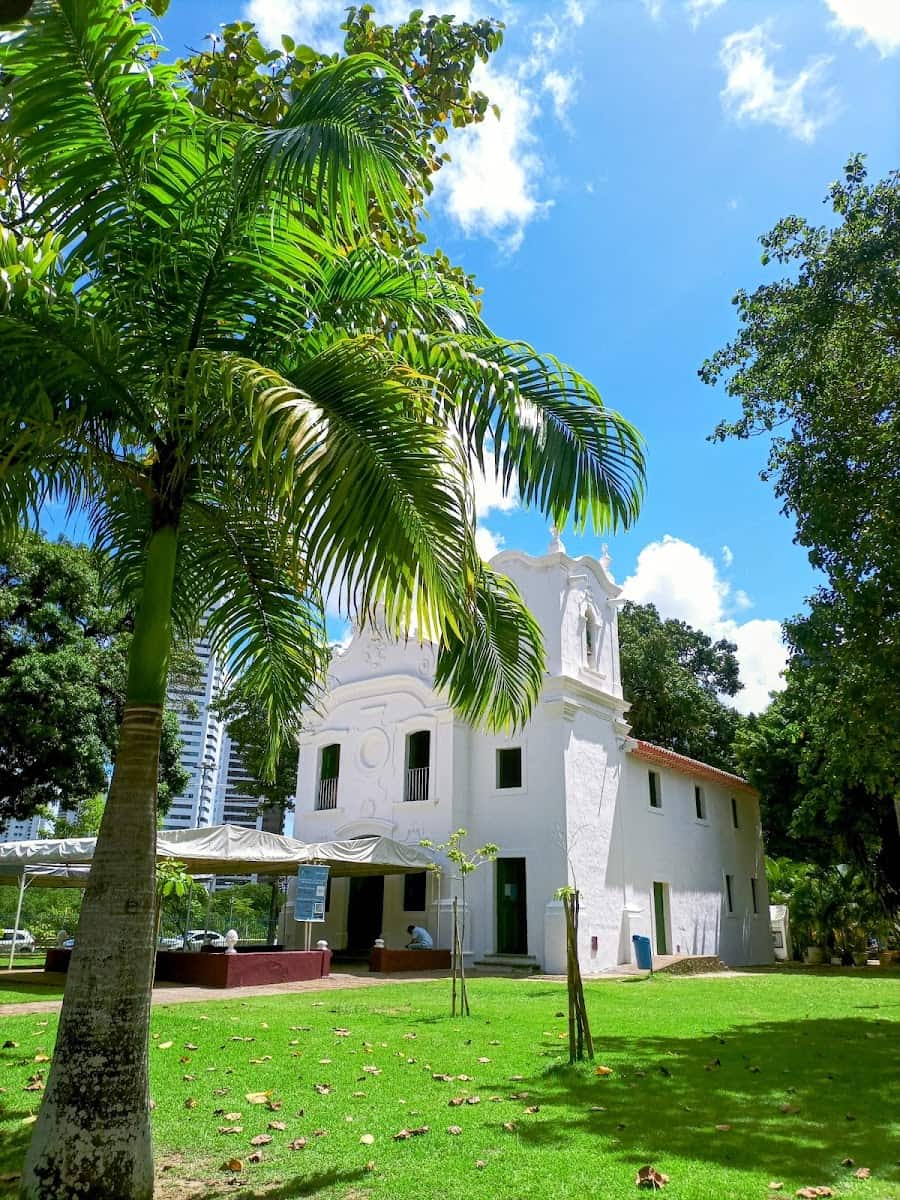 Parque da Jaqueira, Recife Parque da Jaqueira, Recife
