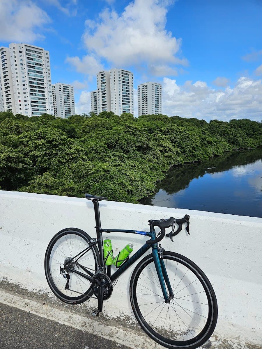 Parque dos Manguezais, Recife Parque dos Manguezais, Recife