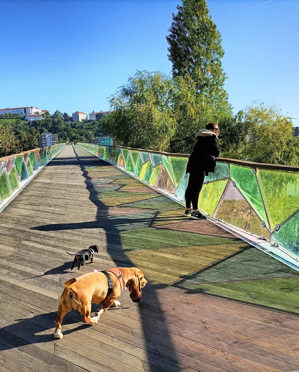 Parque Verde do Mondego, Portugal Parque Verde do Mondego, Portugal