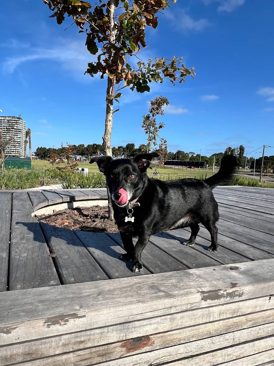 Plaza Liv District Carrasco, Uruguay Plaza Liv District Carrasco, Uruguay