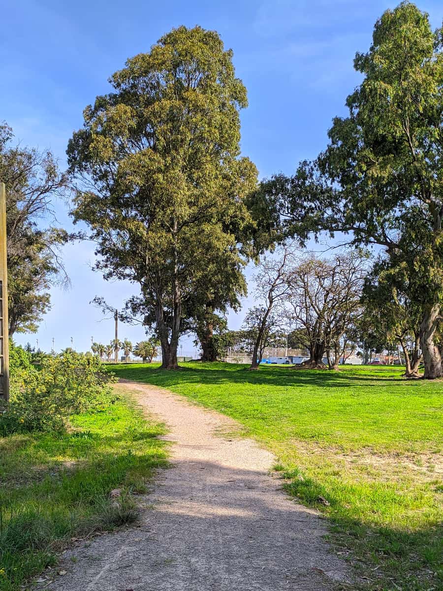Plaza Liv District Carrasco, Uruguay Plaza Liv District Carrasco, Uruguay