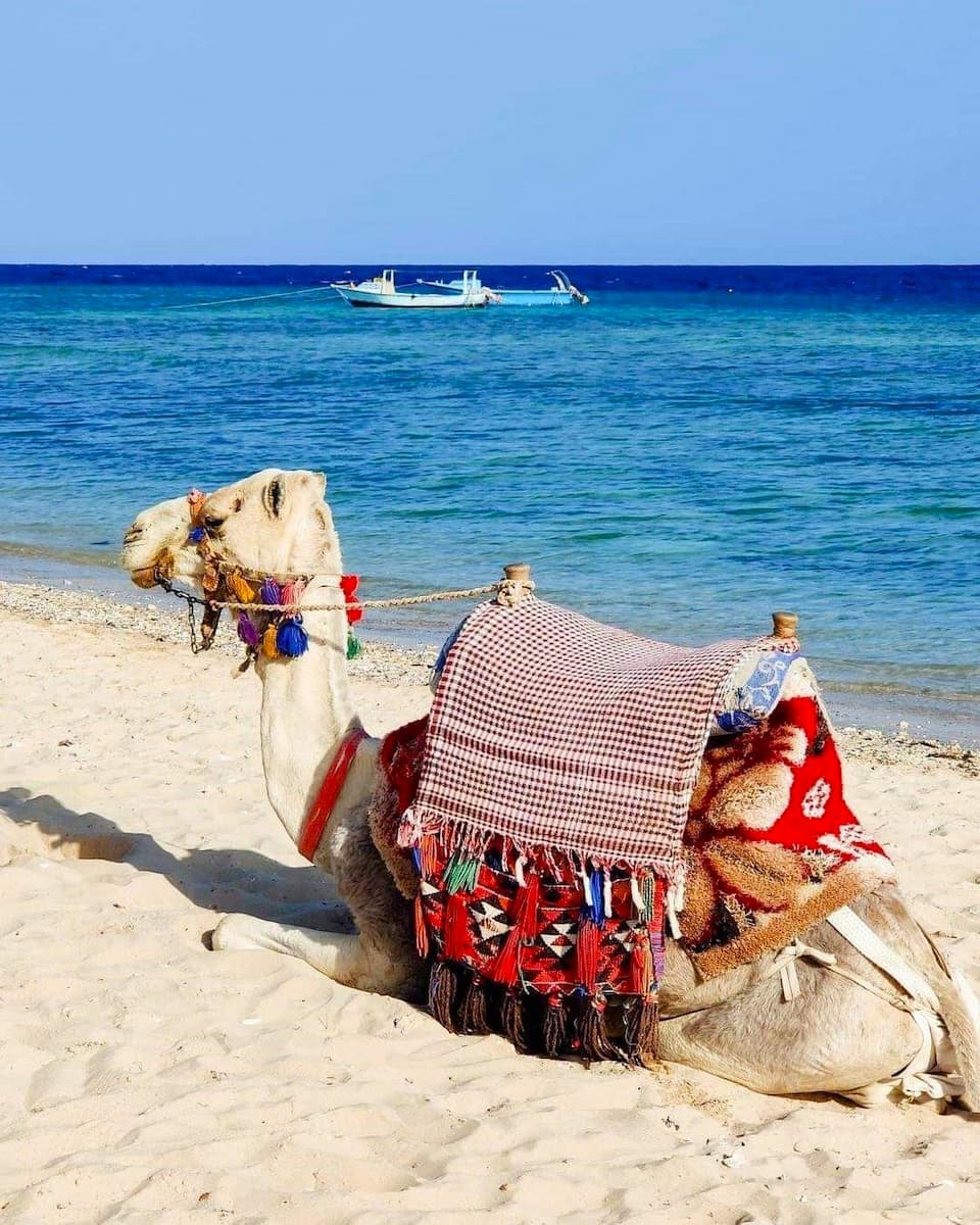 Port Ghalib, Marsa Alam Port Ghalib, Marsa Alam