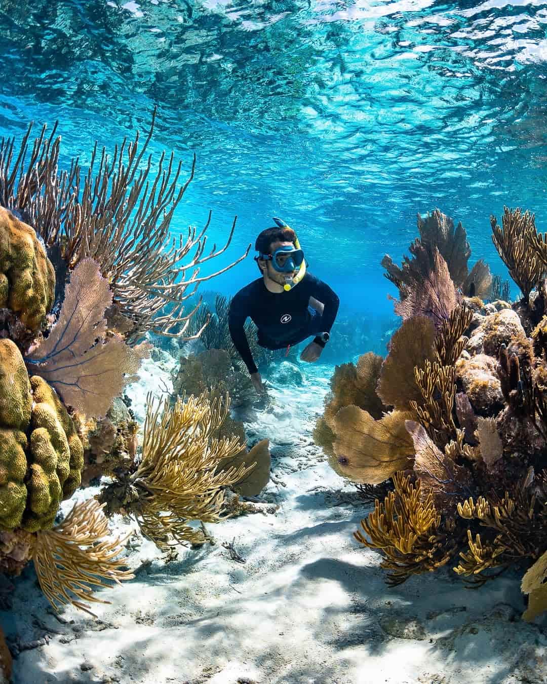 Praia de AraƧatiba, Ilha Grande Praia de AraƧatiba, Ilha Grande