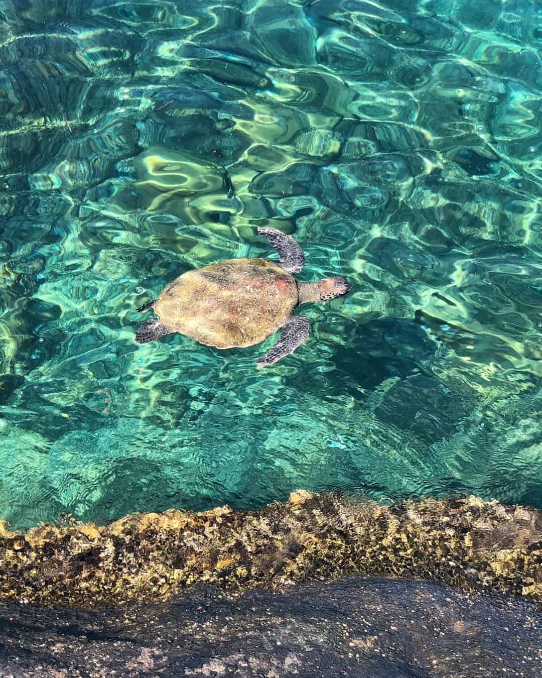 Praia de AraƧatiba, Ilha Grande Praia de AraƧatiba, Ilha Grande