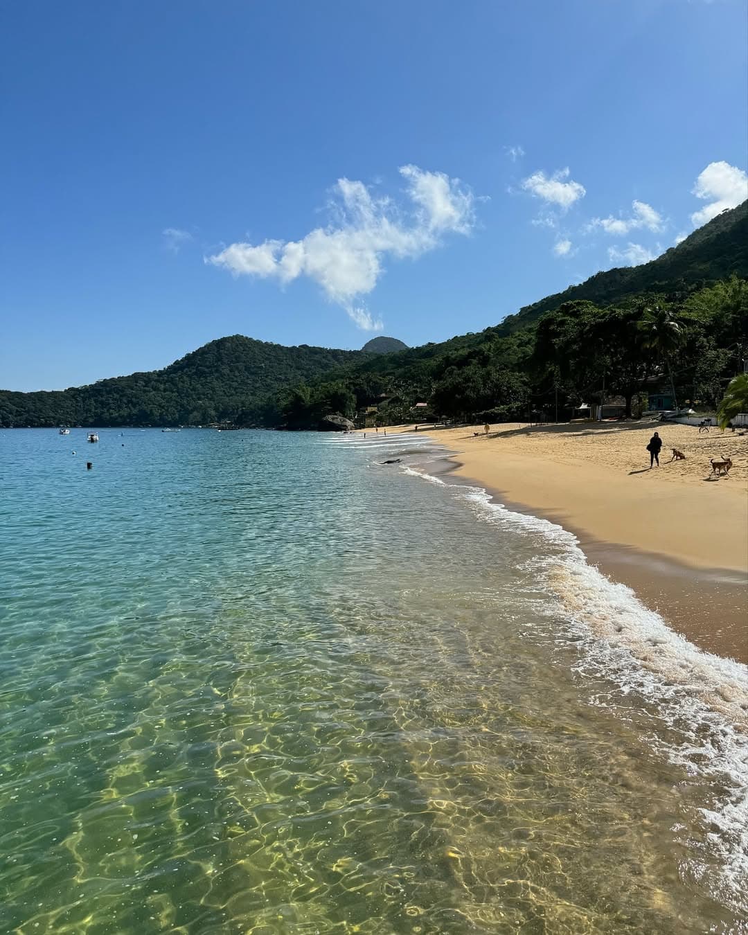 Praia de AraƧatiba, Ilha Grande Praia de AraƧatiba, Ilha Grande