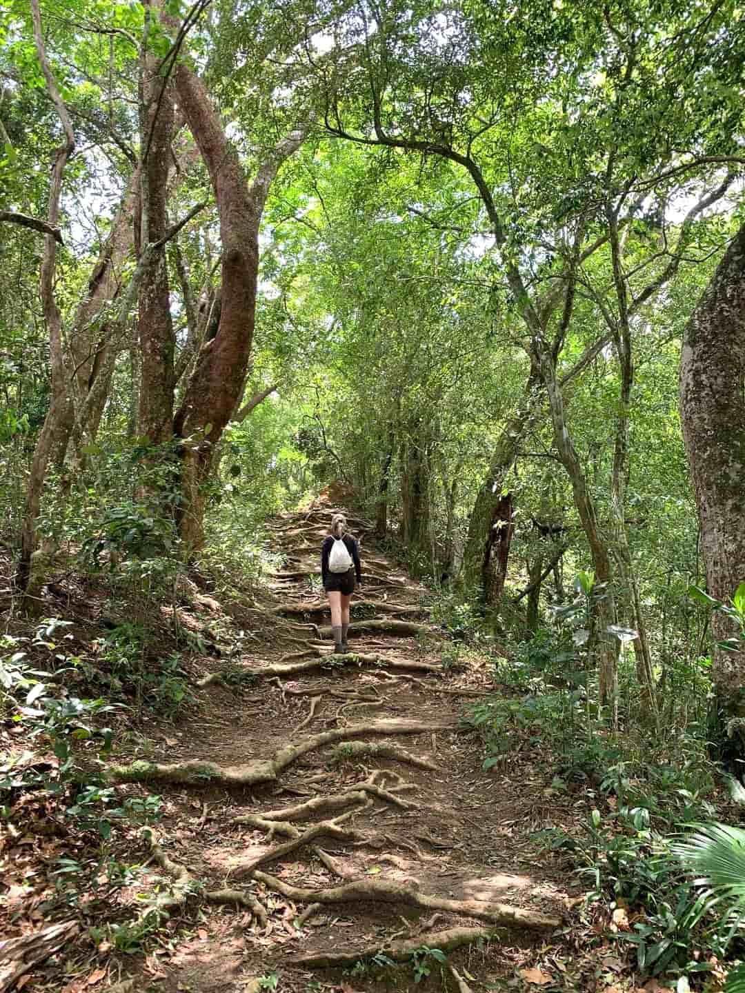 Praia de Palmas, Ilha Grande Praia de Palmas, Ilha Grande
