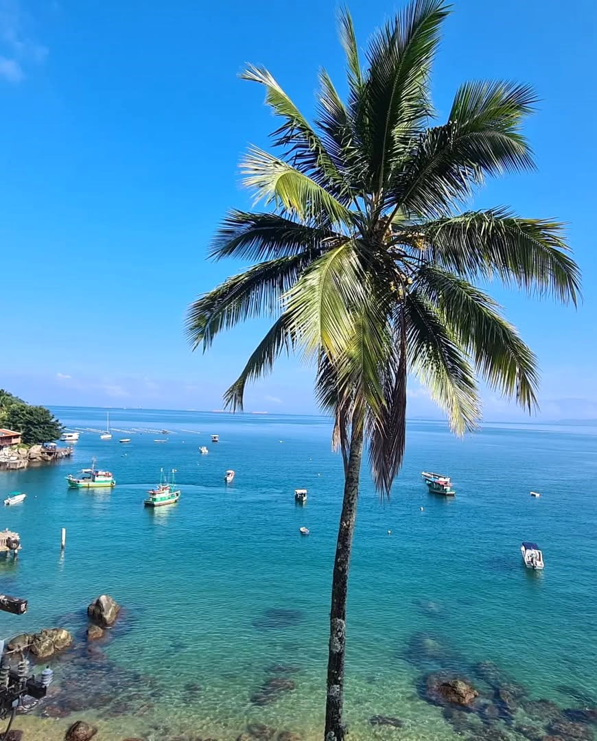 Praia de Proveta, Ilha Grande Praia de Proveta, Ilha Grande