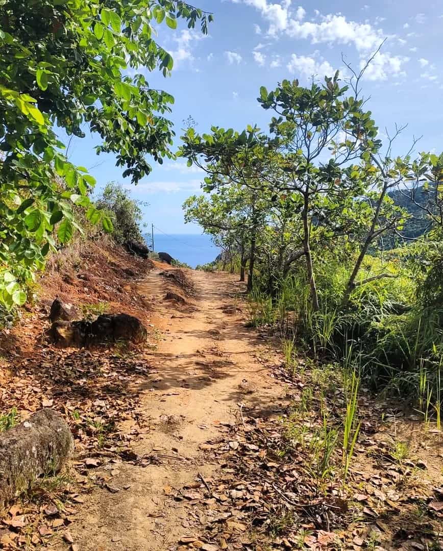 Praia de Proveta, Ilha Grande Praia de Proveta, Ilha Grande