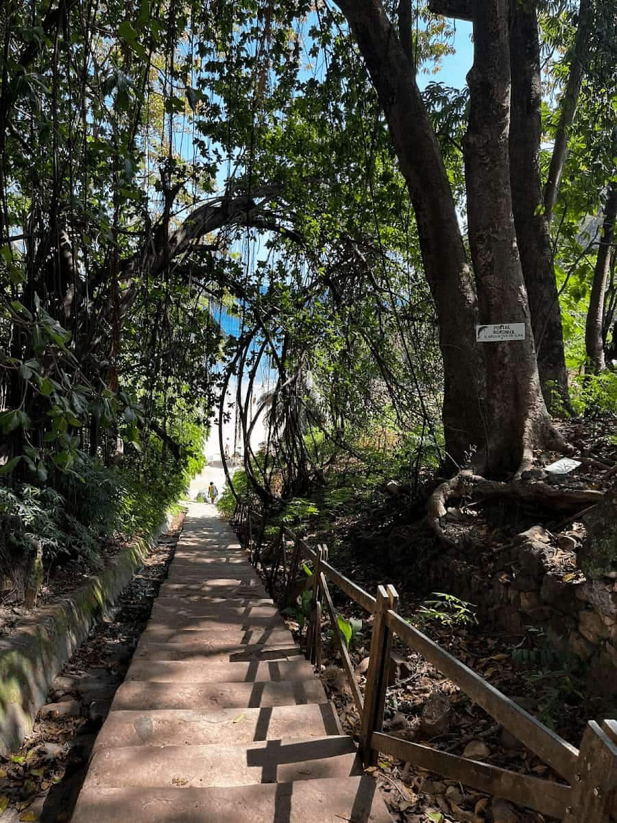Praia do Cachorro, Fernando de Noronha Praia do Cachorro, Fernando de Noronha