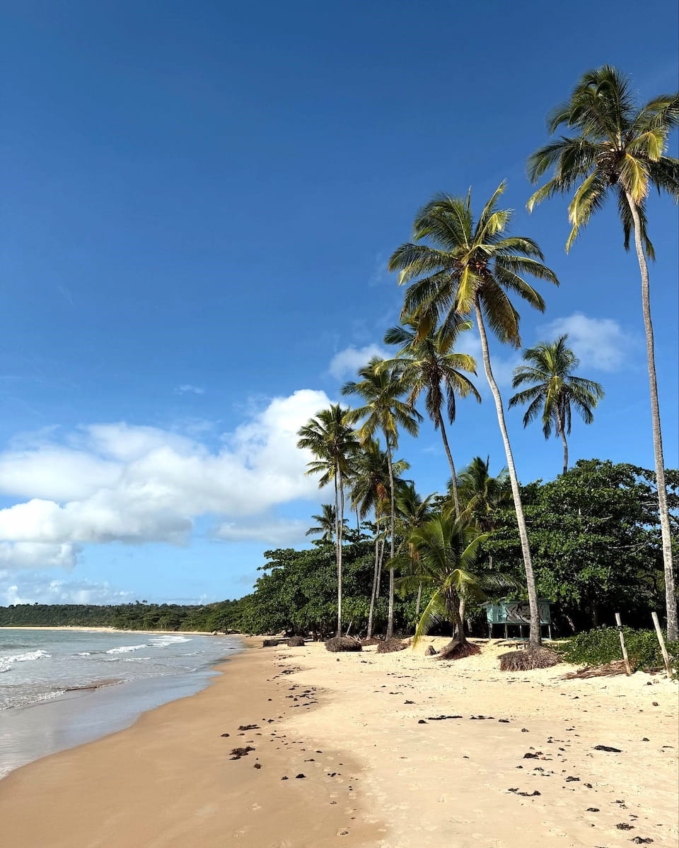 Praia dos Coqueiros, Trancoso Praia dos Coqueiros, Trancoso