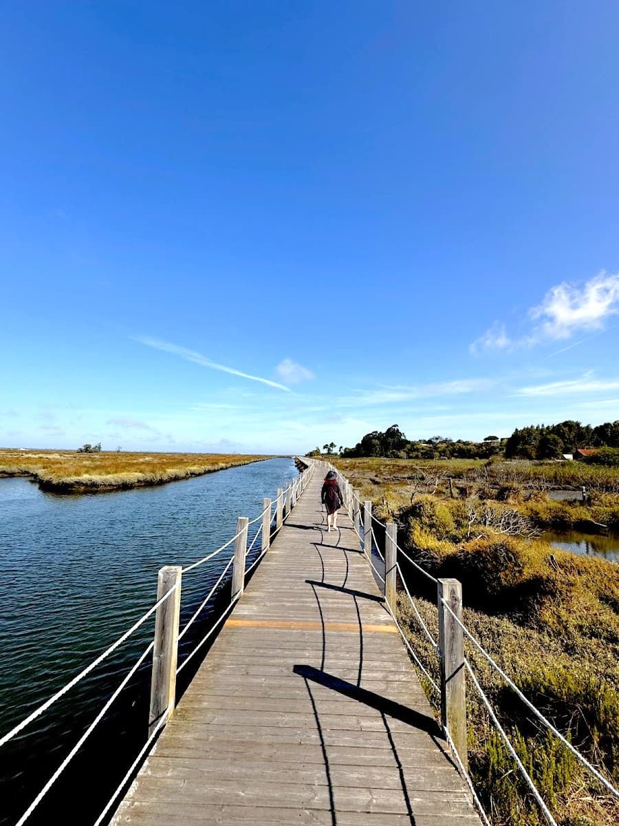 Ria de Aveiro Nature Reserve, Aveiro Ria de Aveiro Nature Reserve, Aveiro