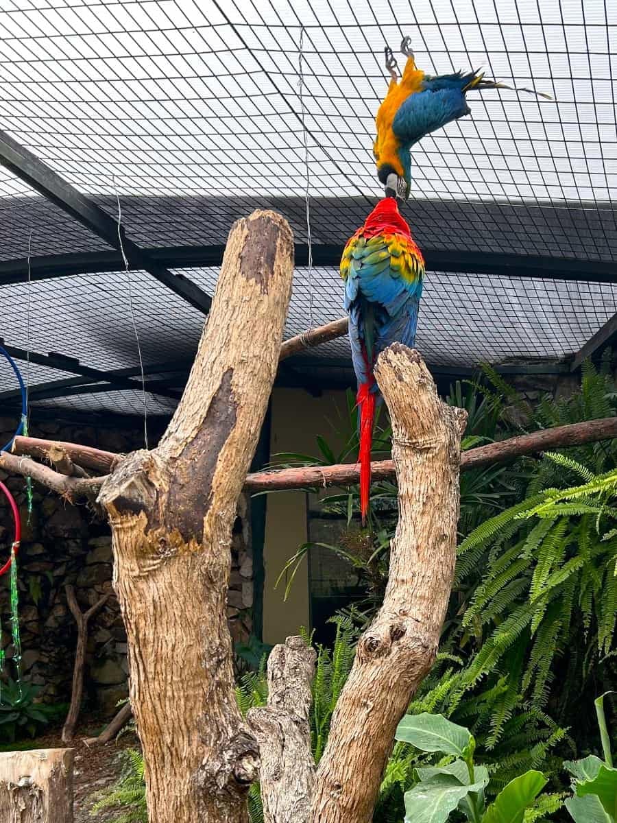 Ruinas de Pumapungo, Cuenca, Ecuador Ruinas de Pumapungo, Cuenca, Ecuador