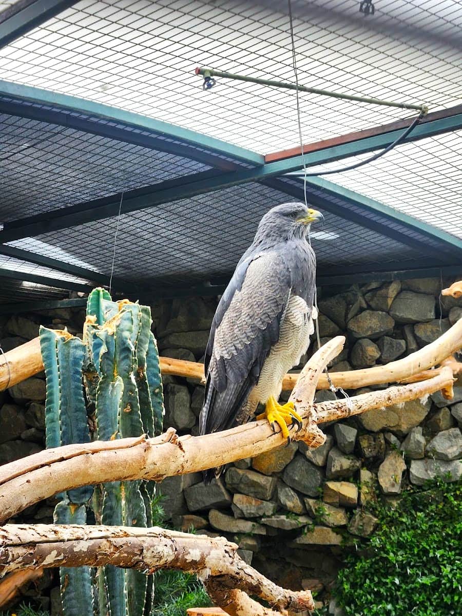 Ruinas de Pumapungo, Cuenca, Ecuador Ruinas de Pumapungo, Cuenca, Ecuador