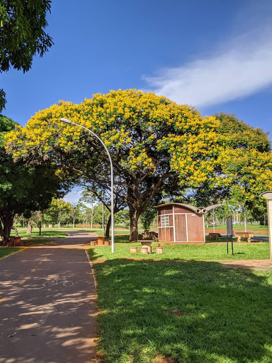 Sarah Kubitschek City Park, Brasilia Sarah Kubitschek City Park, Brasilia