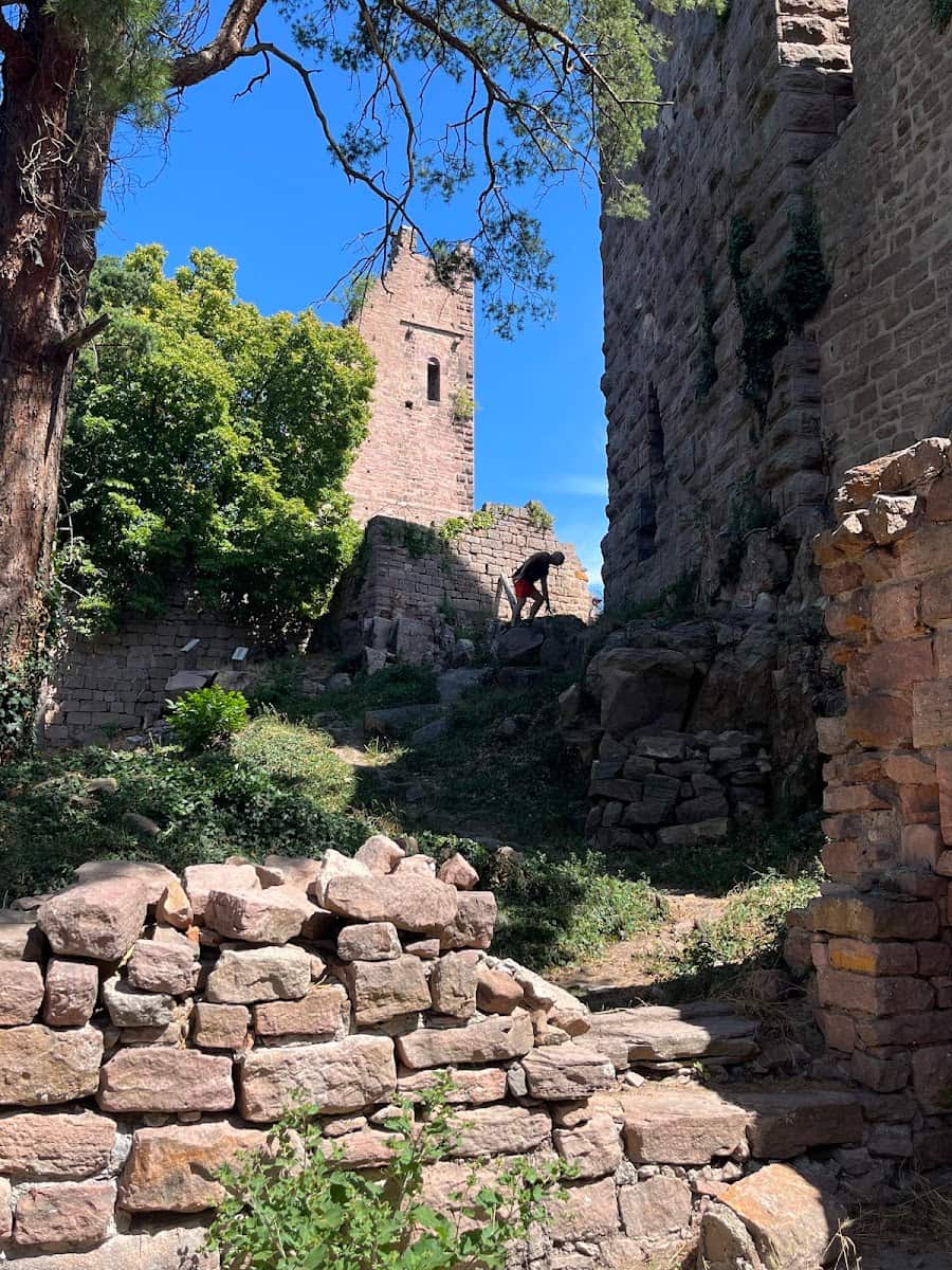 The Three Castles of Eguisheim, Alsace The Three Castles of Eguisheim, Alsace