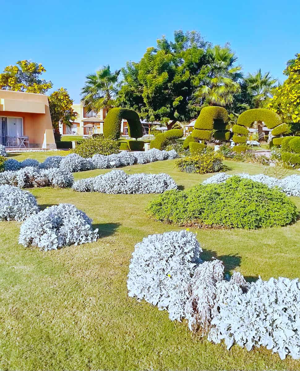 Wadi Lahmy, Marsa Alam Wadi Lahmy, Marsa Alam