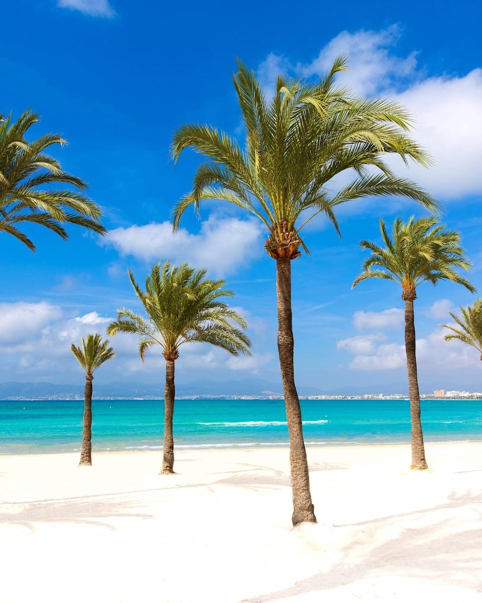 Arenal Beach, Javea Arenal Beach, Javea