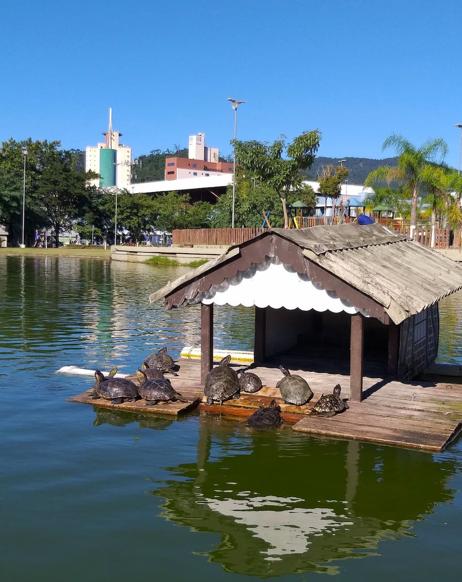 Blumenau, Brazil Blumenau, Brazil