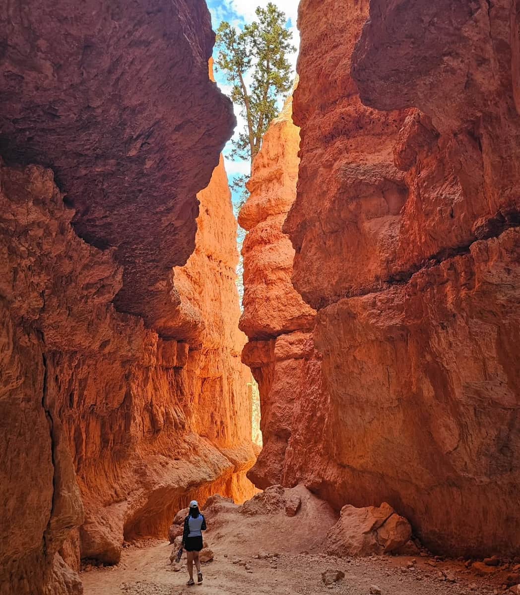 Bryce Canyon National Park, Utah Bryce Canyon National Park, Utah