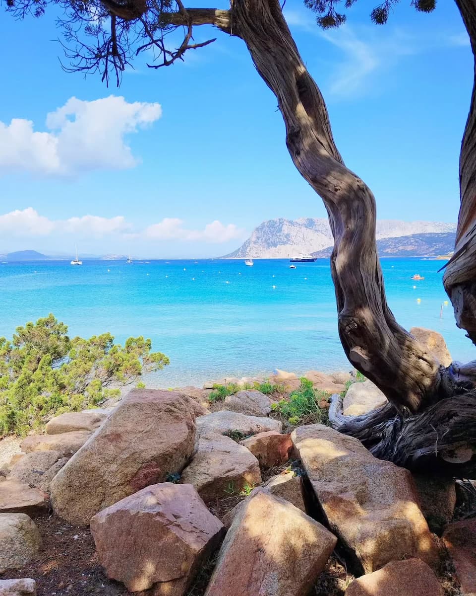 Capo Coda Cavallo, San Teodoro Capo Coda Cavallo, San Teodoro