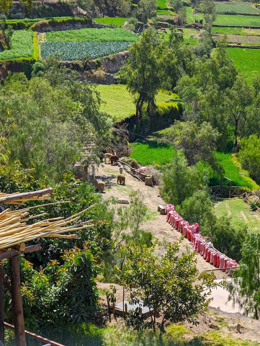 Carmen Alto viewpoint, Arequipa Carmen Alto viewpoint, Arequipa