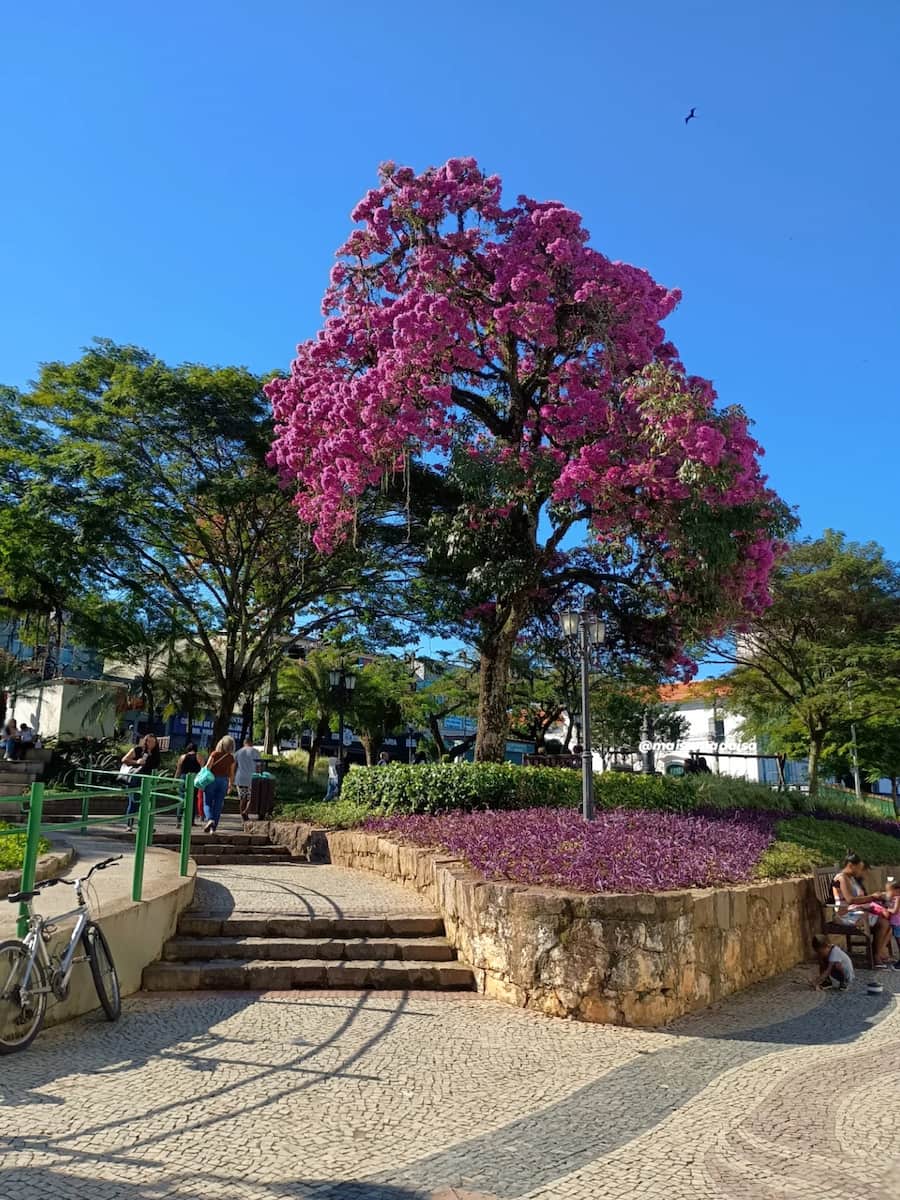 Centro, Angra dos Reis