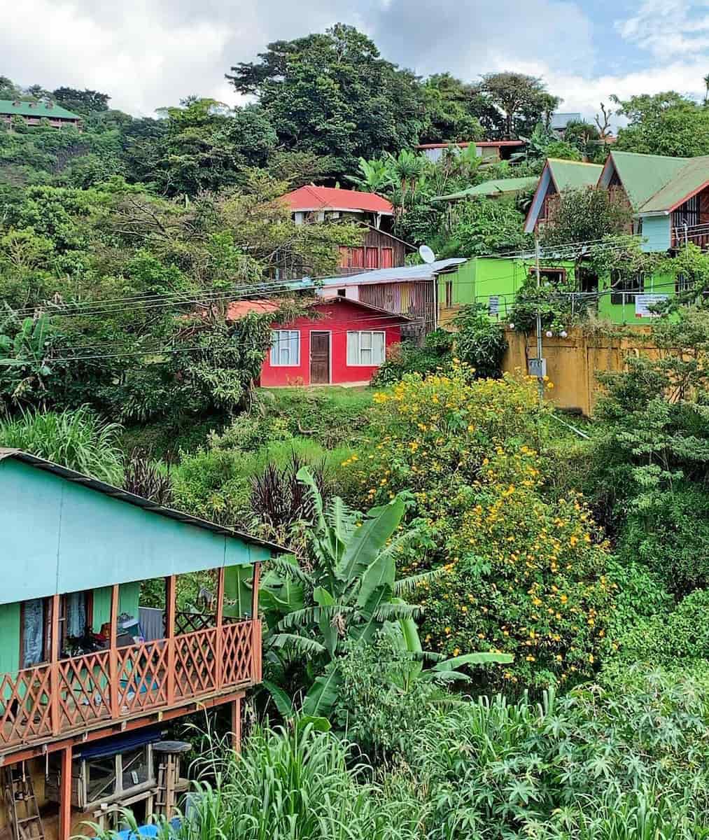 Cerro Plano, Monteverde Cerro Plano, Monteverde