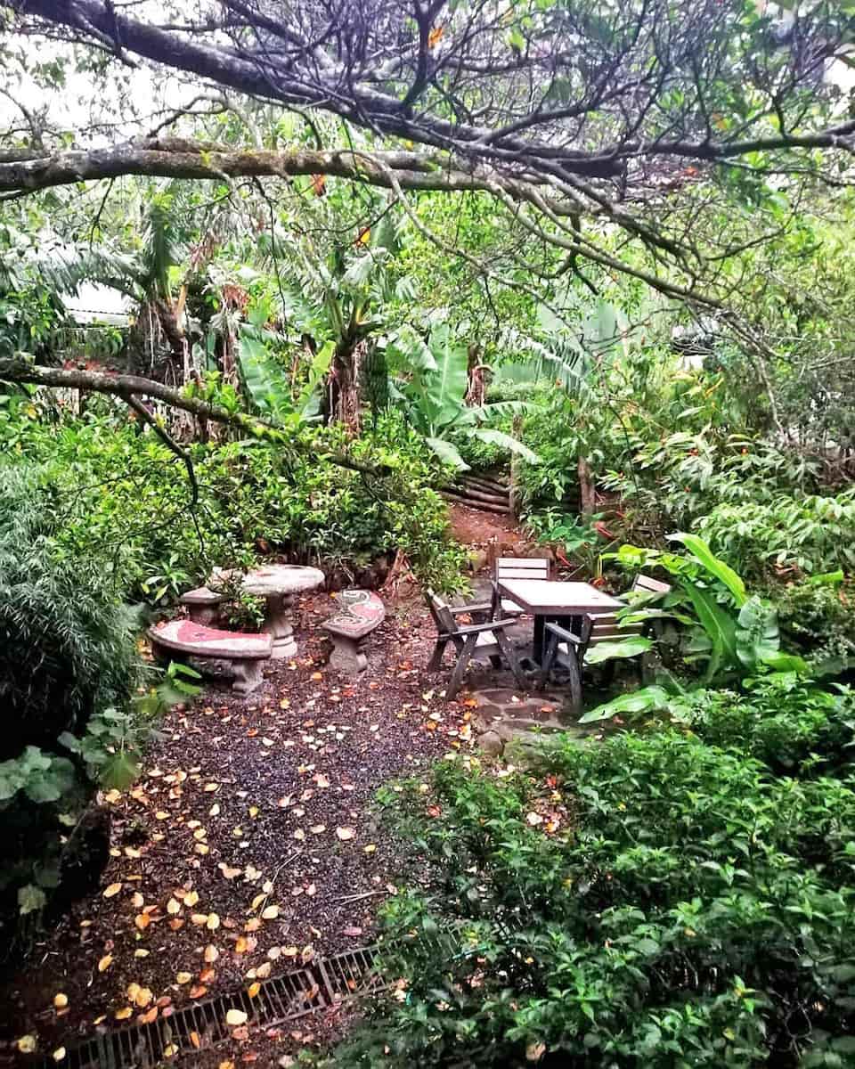 Cerro Plano, Monteverde Cerro Plano, Monteverde