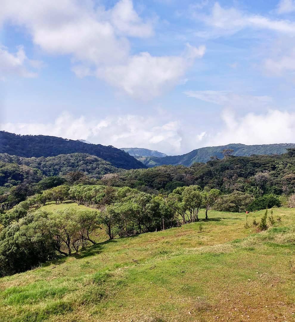 Cerro Plano, Monteverde Cerro Plano, Monteverde