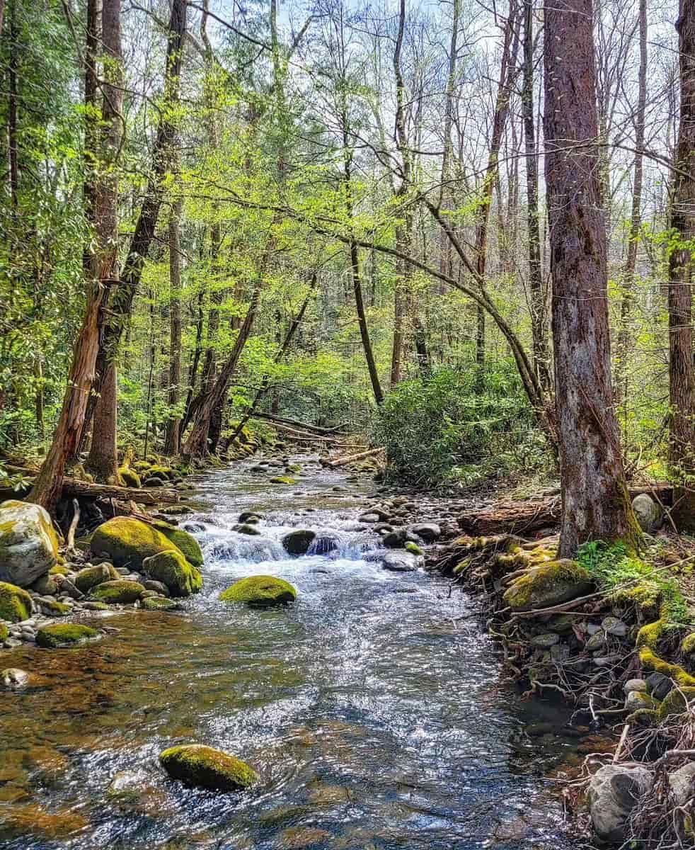 Cosby, Great Smoky Mountains Cosby, Great Smoky Mountains