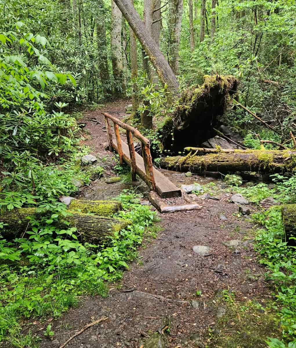 Cosby, Great Smoky Mountains Cosby, Great Smoky Mountains