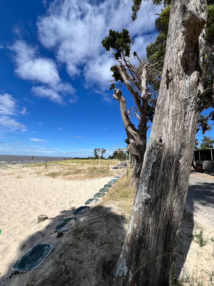 Ferrando, Colonia del Sacramento Ferrando, Colonia del Sacramento