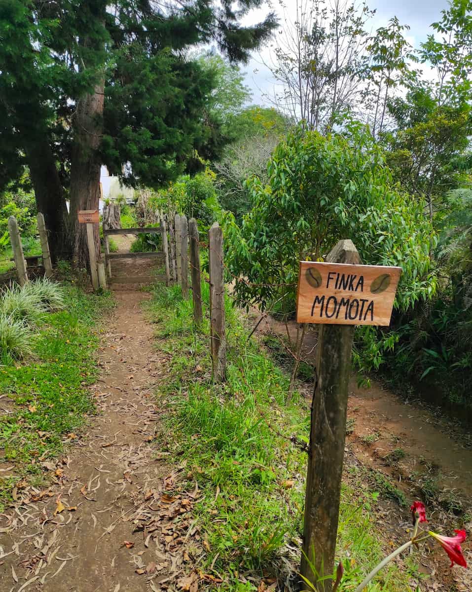 Finca Don Eduardo, Salento Finca Don Eduardo, Salento