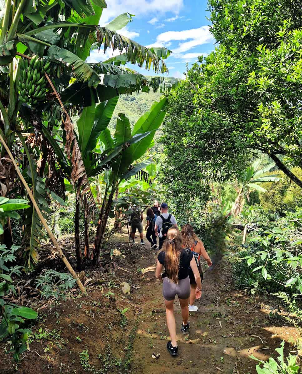 Finca Don Eduardo, Salento Finca Don Eduardo, Salento