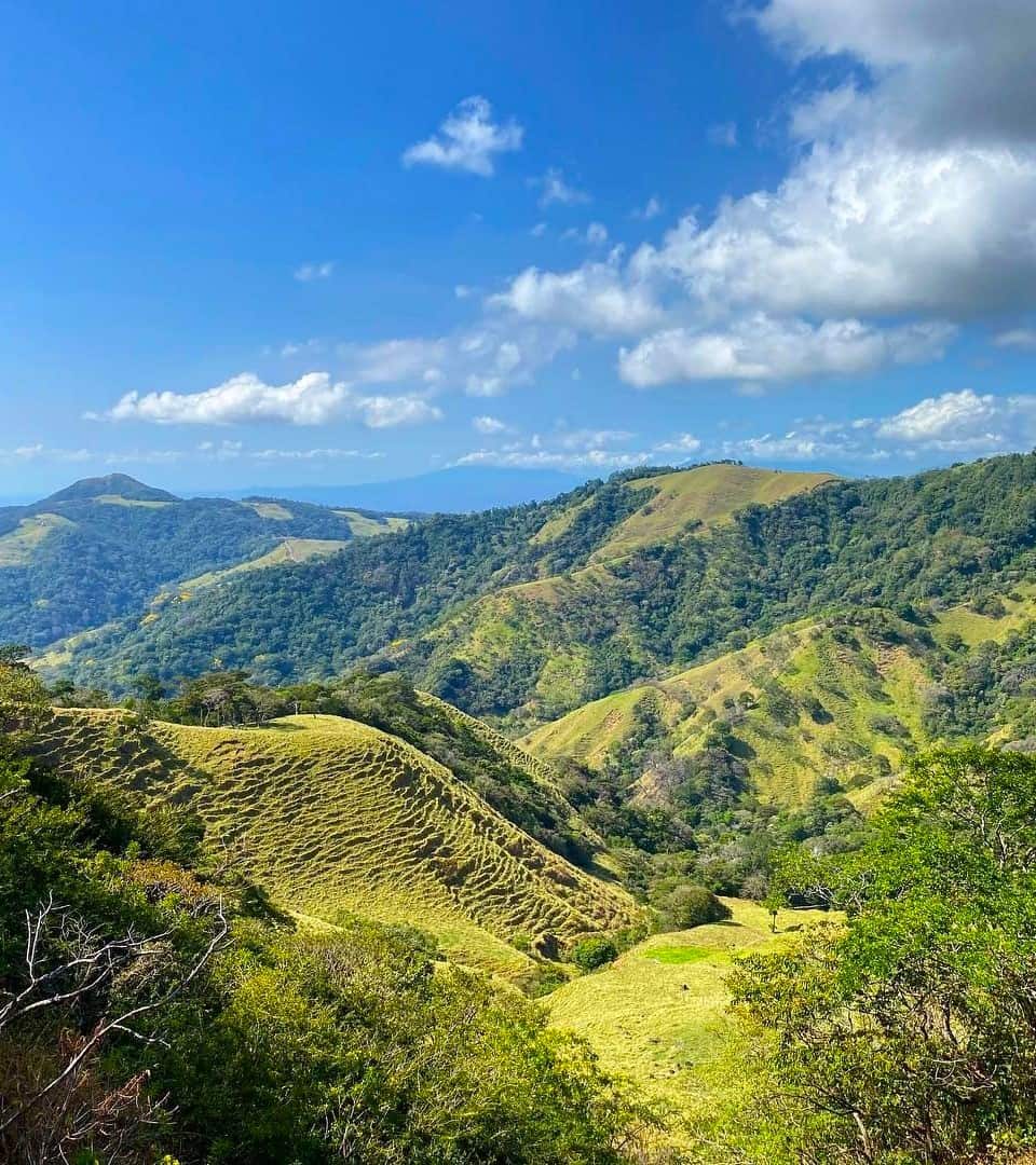 Monteverde, Costa Rica Monteverde, Costa Rica