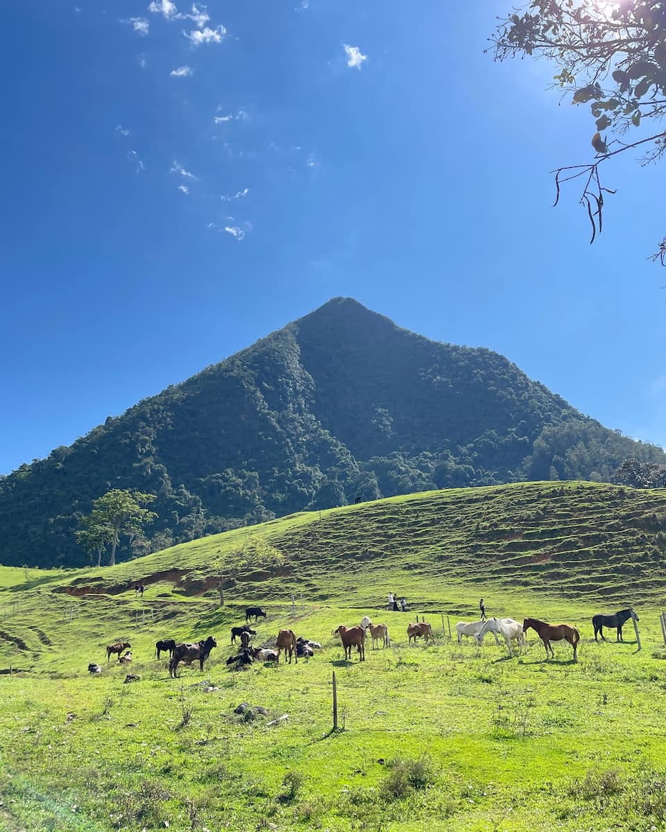 Monteverde, Costa Rica Monteverde, Costa Rica